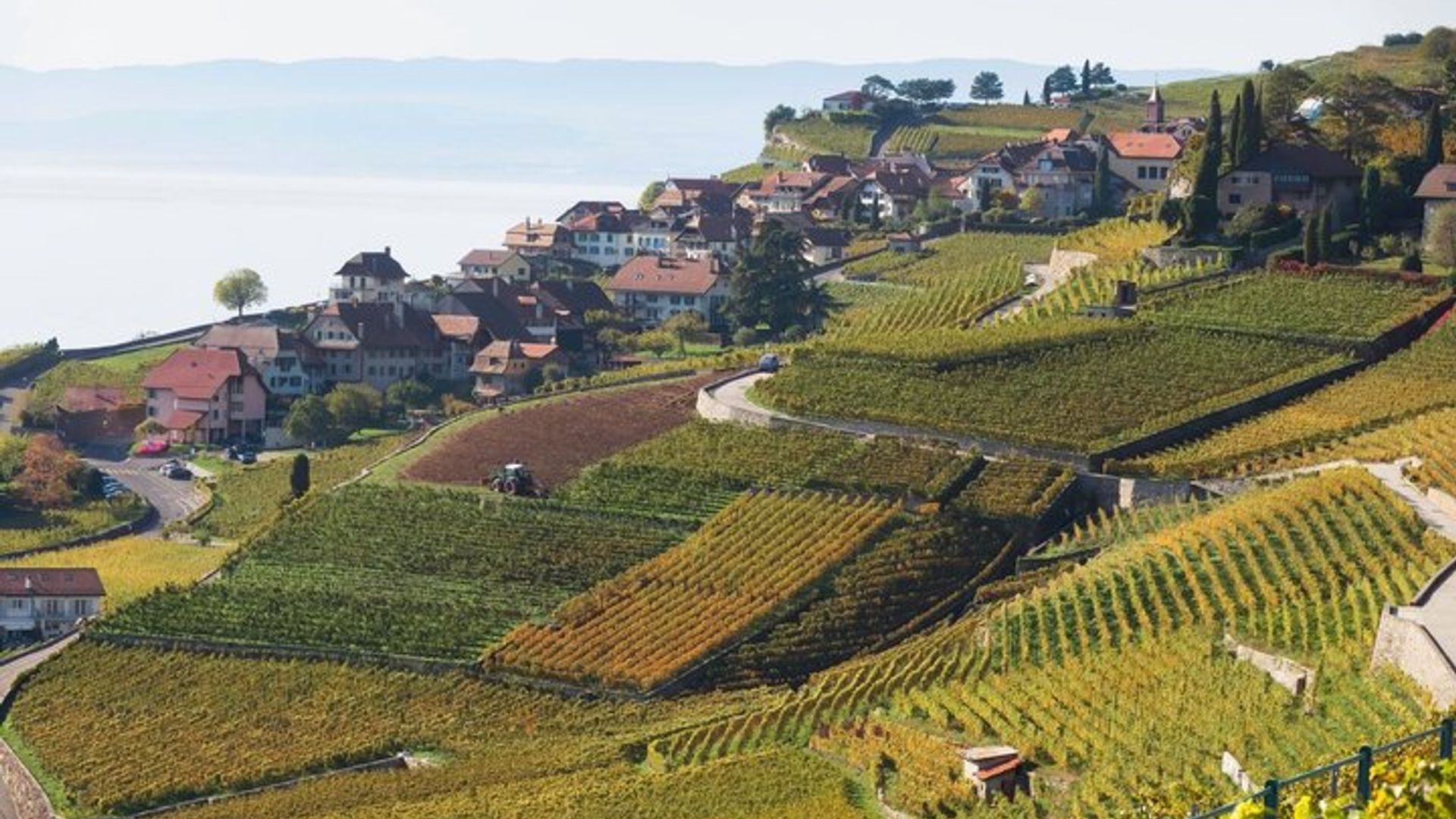 Lavaux UNESCO Vignobles et Dégustation Van privé depuis Montreux