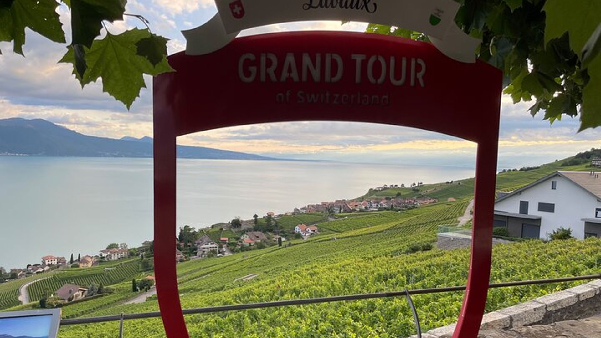 Visite des Vignobles de Lavaux et Musée du Vin au Château d'Aigle