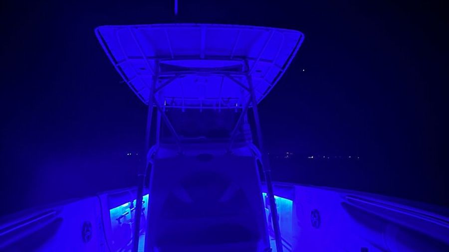 Night Snorkel & Boat Adventure – Drinks & Appetizers Included