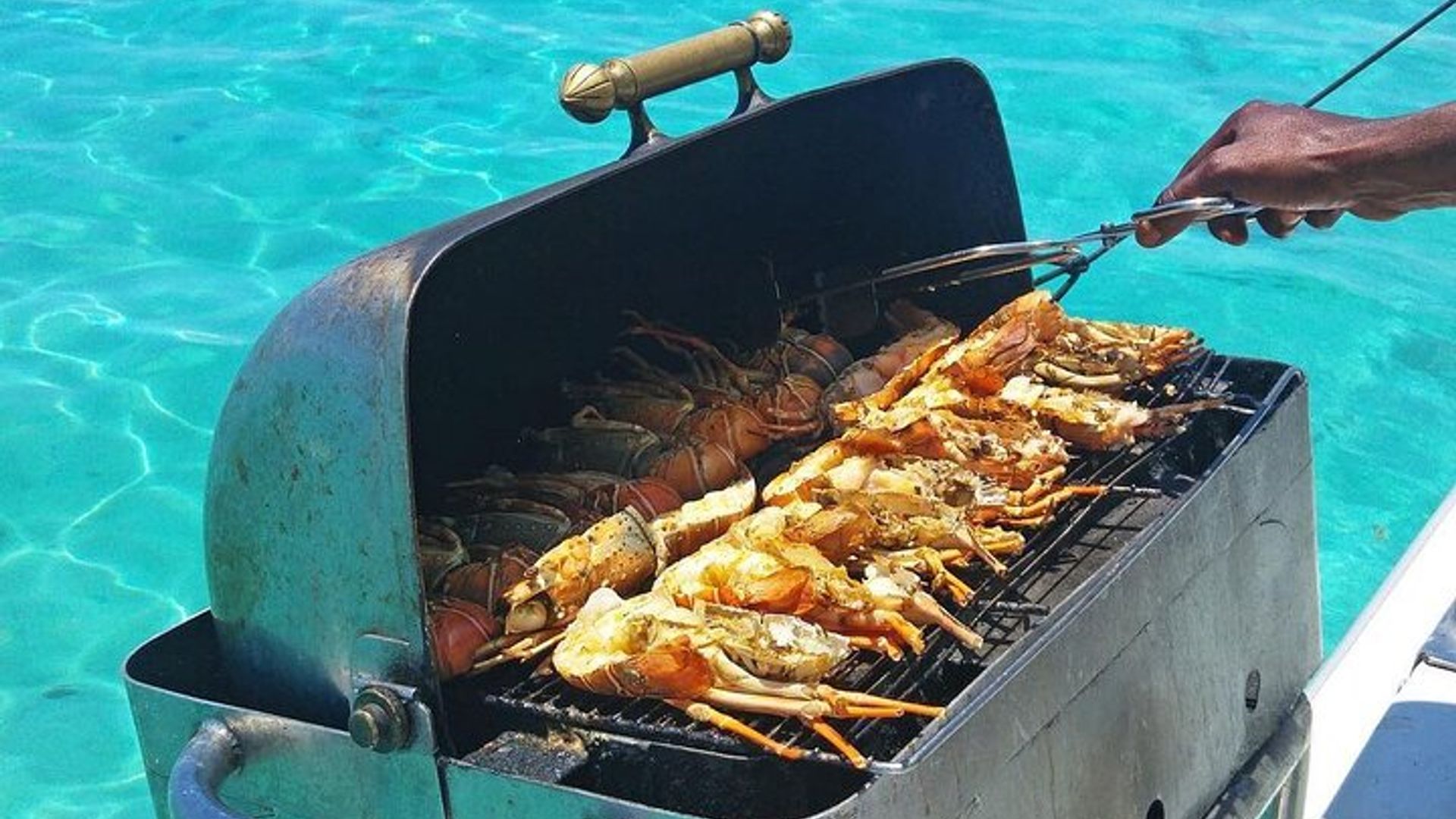 All-inclusive-KATAMARAN mit Grill: Ile aux cerf und GRSE-Wasserfall