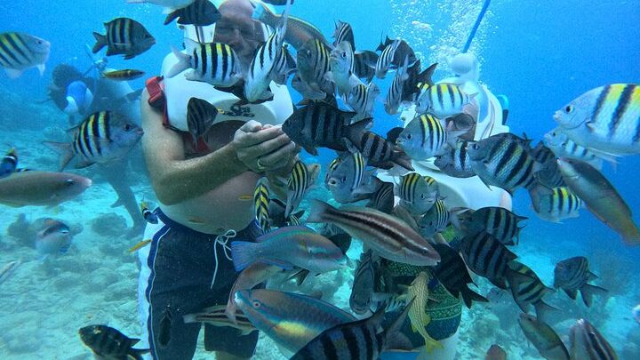 Curacao Small-Group Underwater Walking Tour