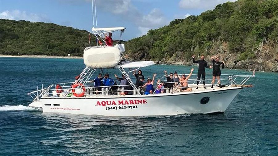 Private Half-Day Guided Snorkeling Charter in St. Thomas