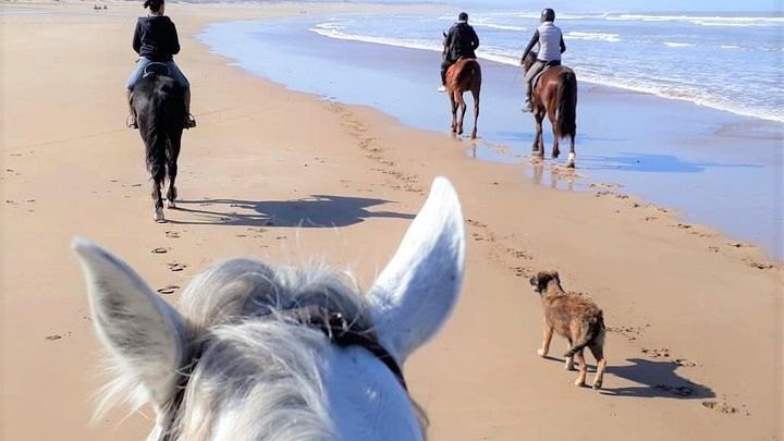 4 hours on horseback + picnic
