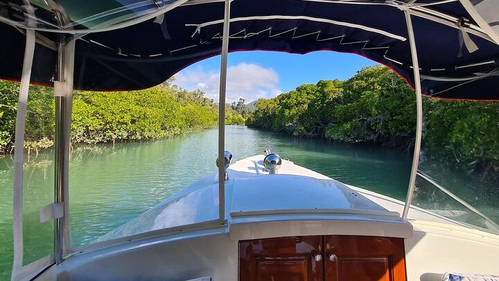 Whisper Cruises - One-Hour Turtle Spotting Bay Cruise