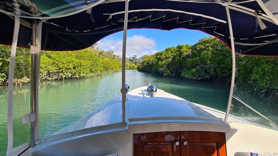 Whisper Cruises - One-Hour Turtle Spotting Bay Cruise