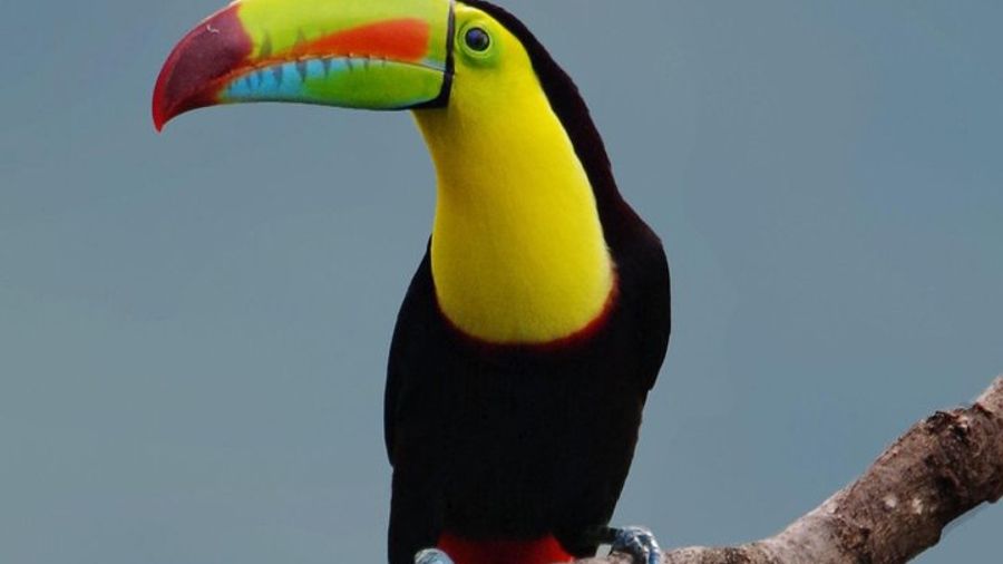Curi-Cancha Reserve: Small-Group Hiking Trip