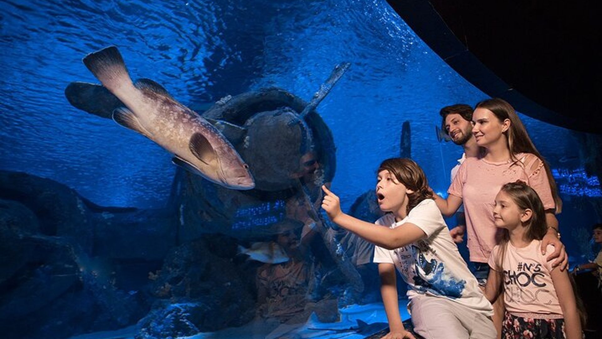 Antalya Aquarium with Entrance and Roundtrip Transfer from Alanya