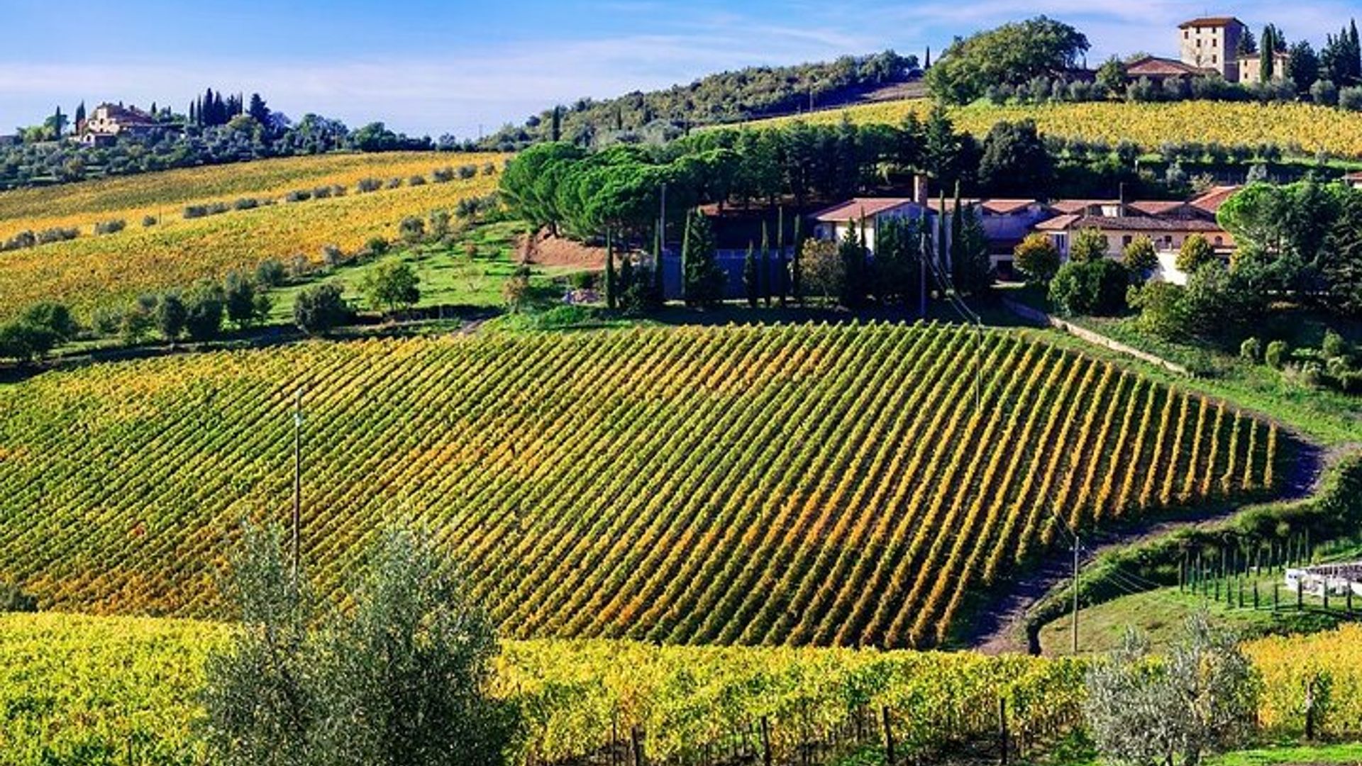 Chianti Vespa Tour