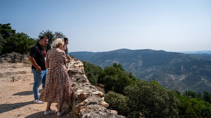Douro Valley: Wine, Cruise, Viewpoint Half-Day Tour From Porto