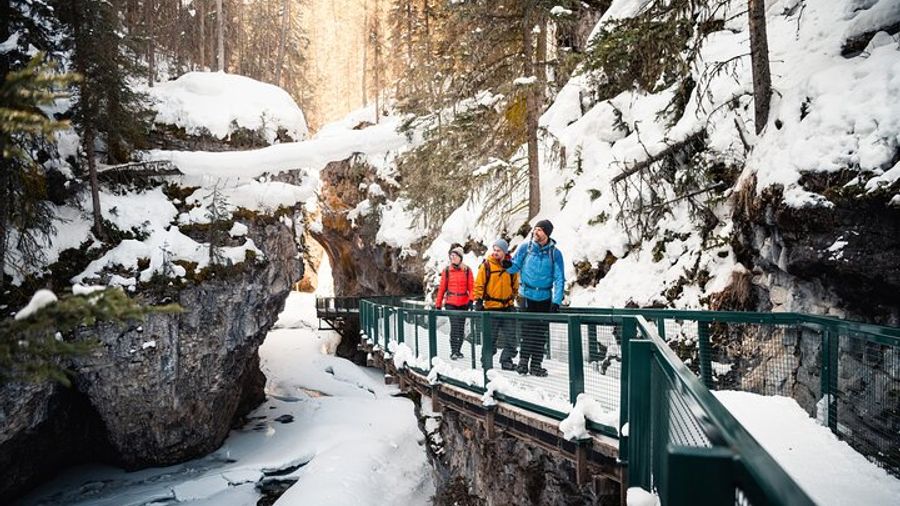 Banff Johnston Canyon Small-Group Icewalk Excursion