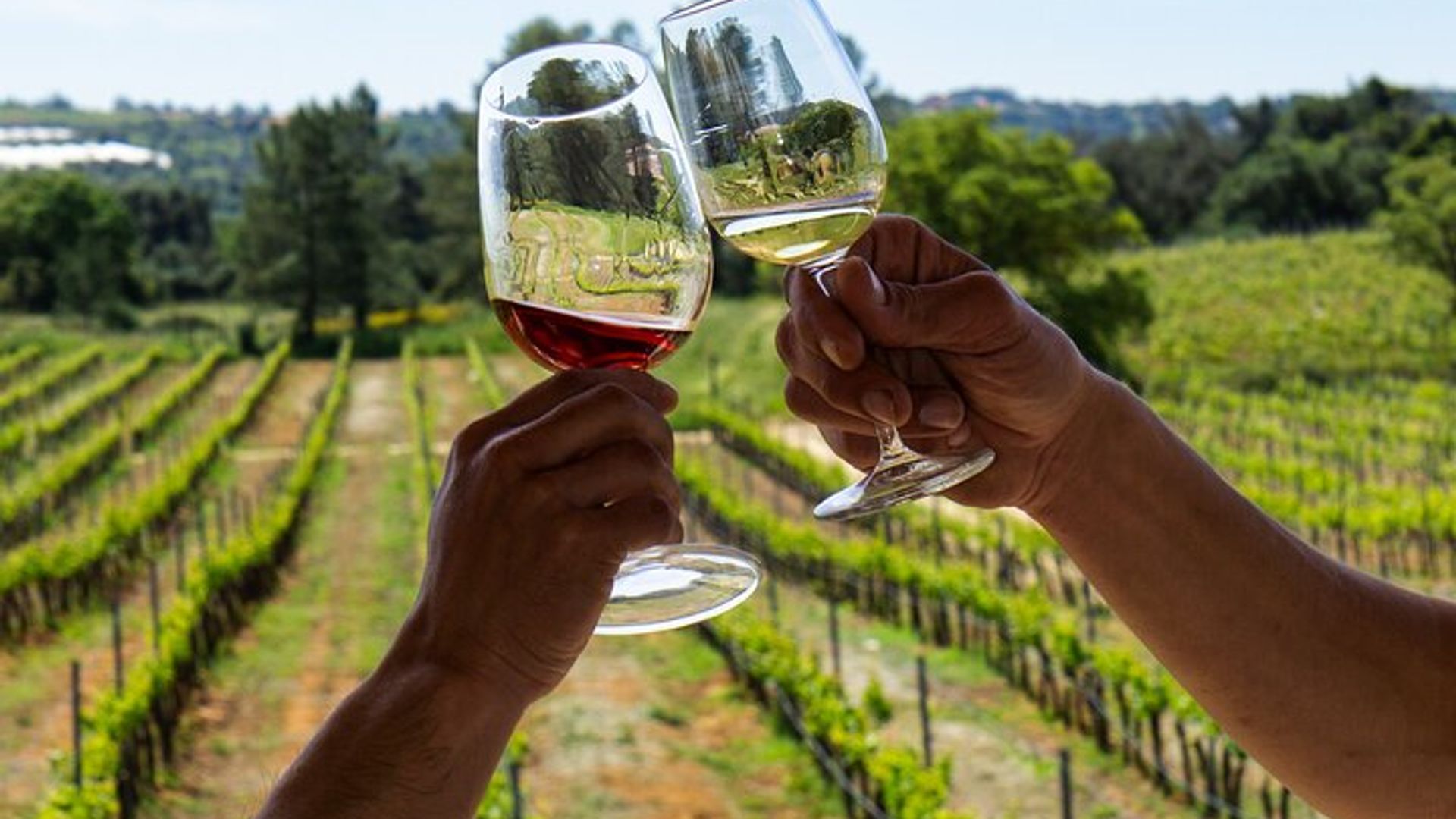Albufeira Wine Tasting: Boutique Winery Tour & Historic Silves