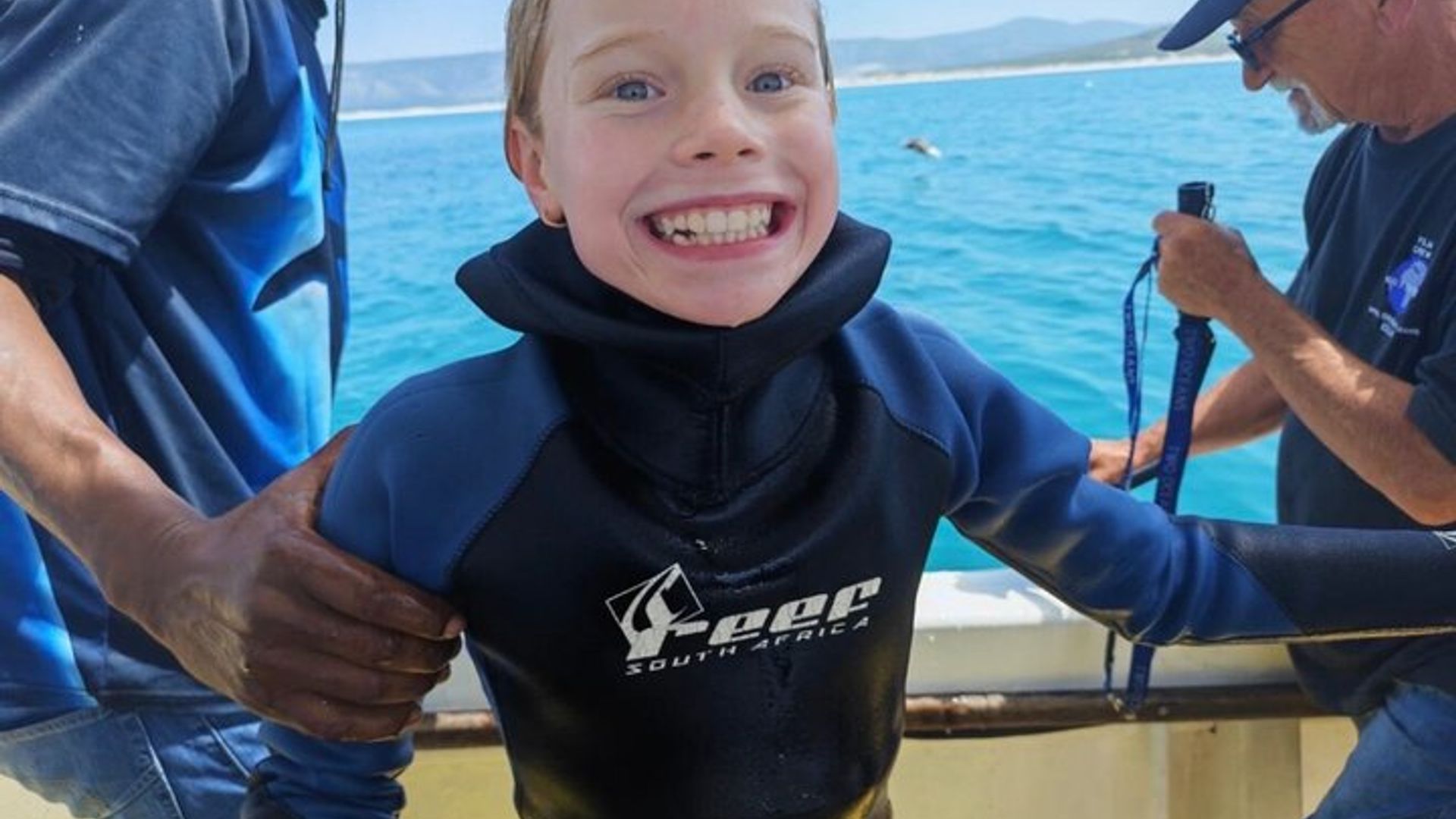 Plongée en cage avec les requins en Afrique du Sud