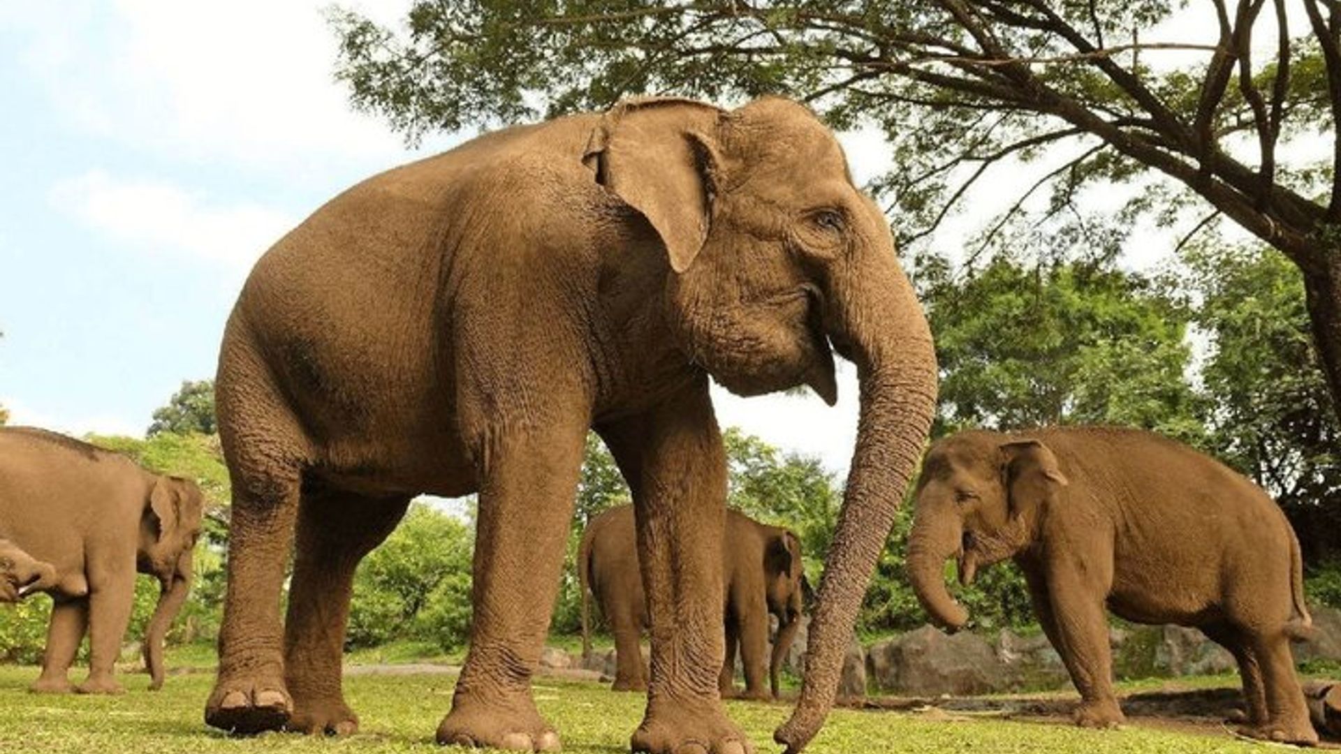Le Cap à Durban - Safari et plages de randonnée aventure 7 jours