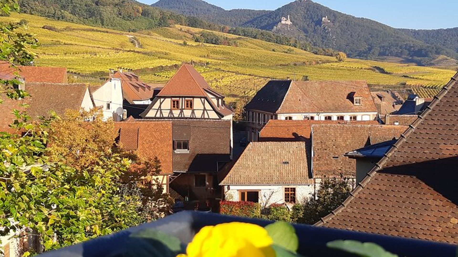 Tour por la ruta del vino de Alsacia con degustación desde Colmar