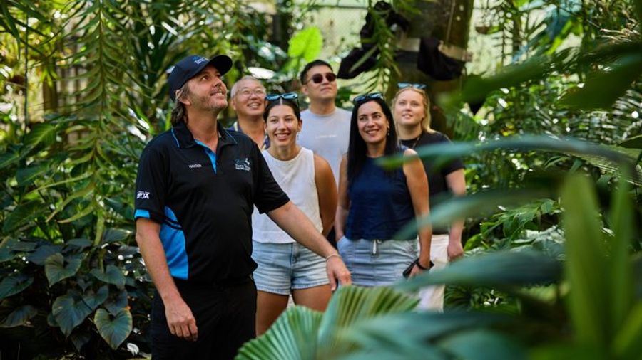 Cairns Highlights Afternoon Tour With CBD Transfers