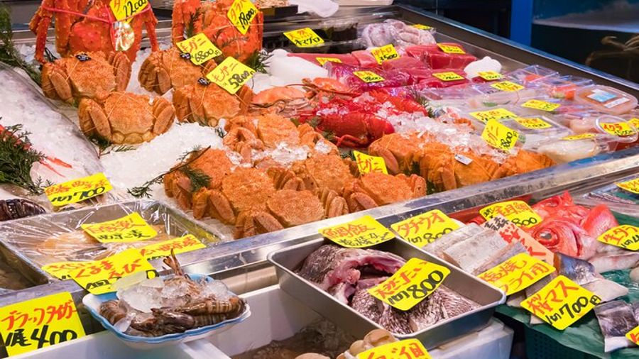 Tokyo Tsukiji Market Small Group Morning Tasting Tour
