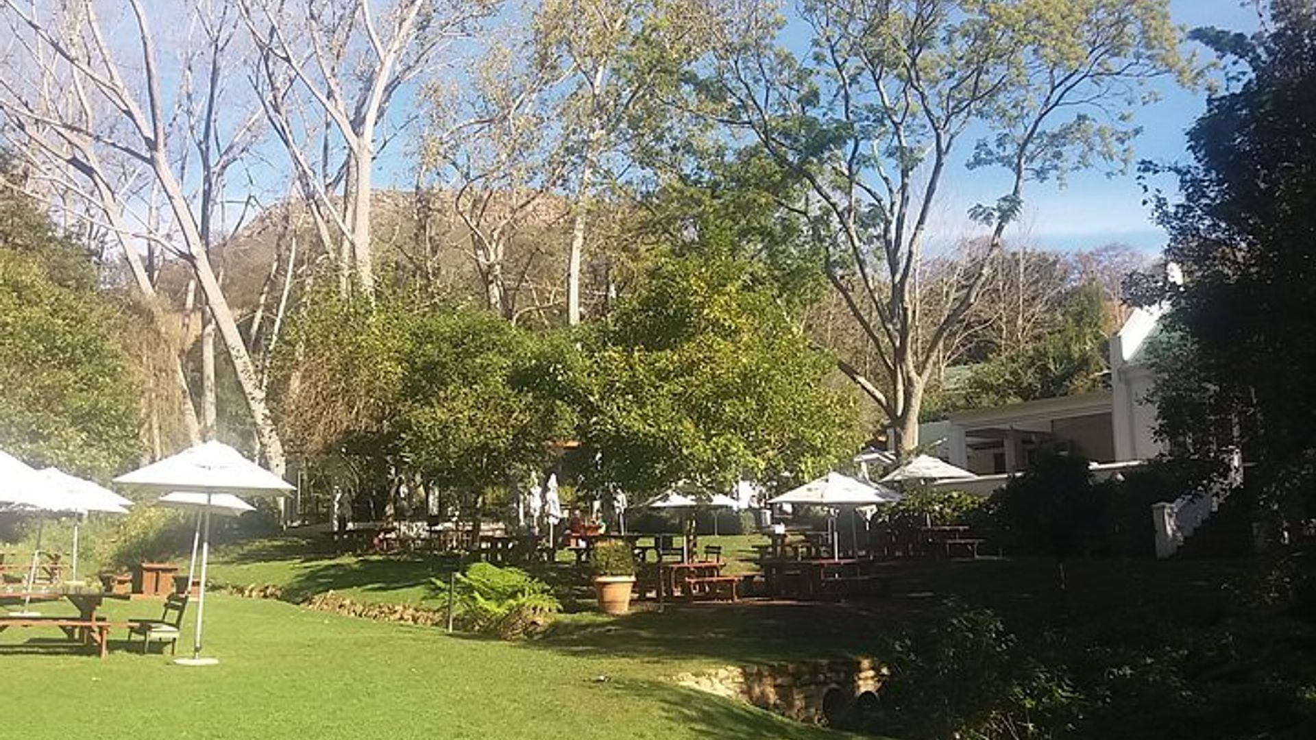 Visita privada a las bodegas Stellenbosch Franschoek Paarl desde Ciudad del Cabo de día completo