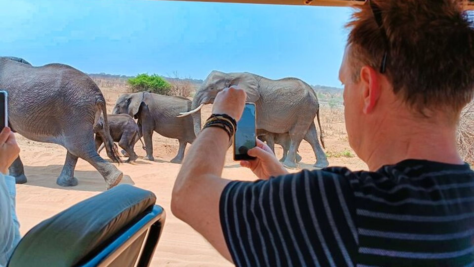 Discover Africa’s Spirit on a 4x4 Zambezi Safari Drive *D-F-ES