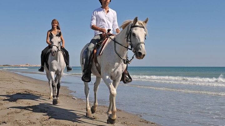 Horse Riding on the beach With Transfer From Sharm El Sheikh