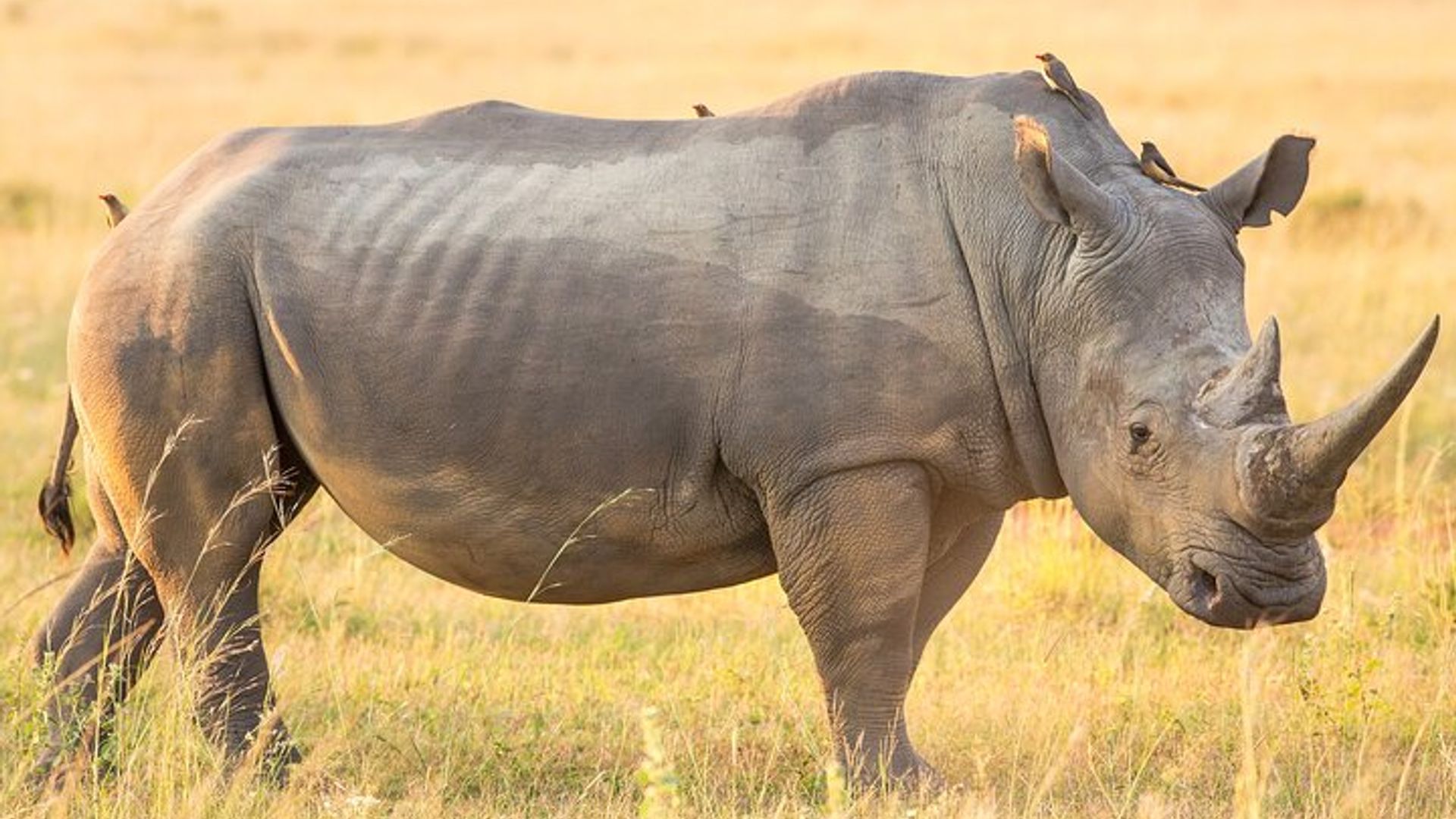 Garden Route 4-Day Private Tour From Cape Town