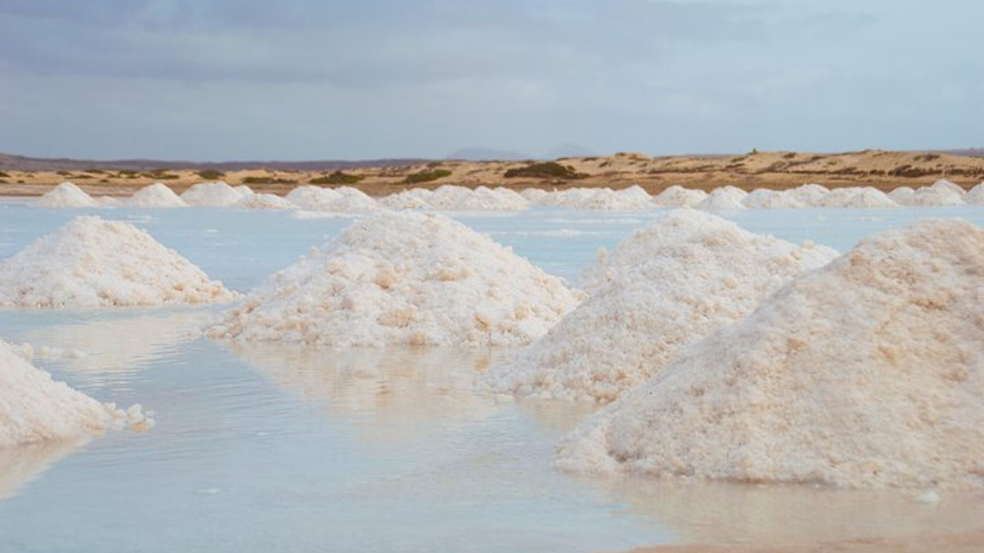 Recorrido en Segway de Santa María