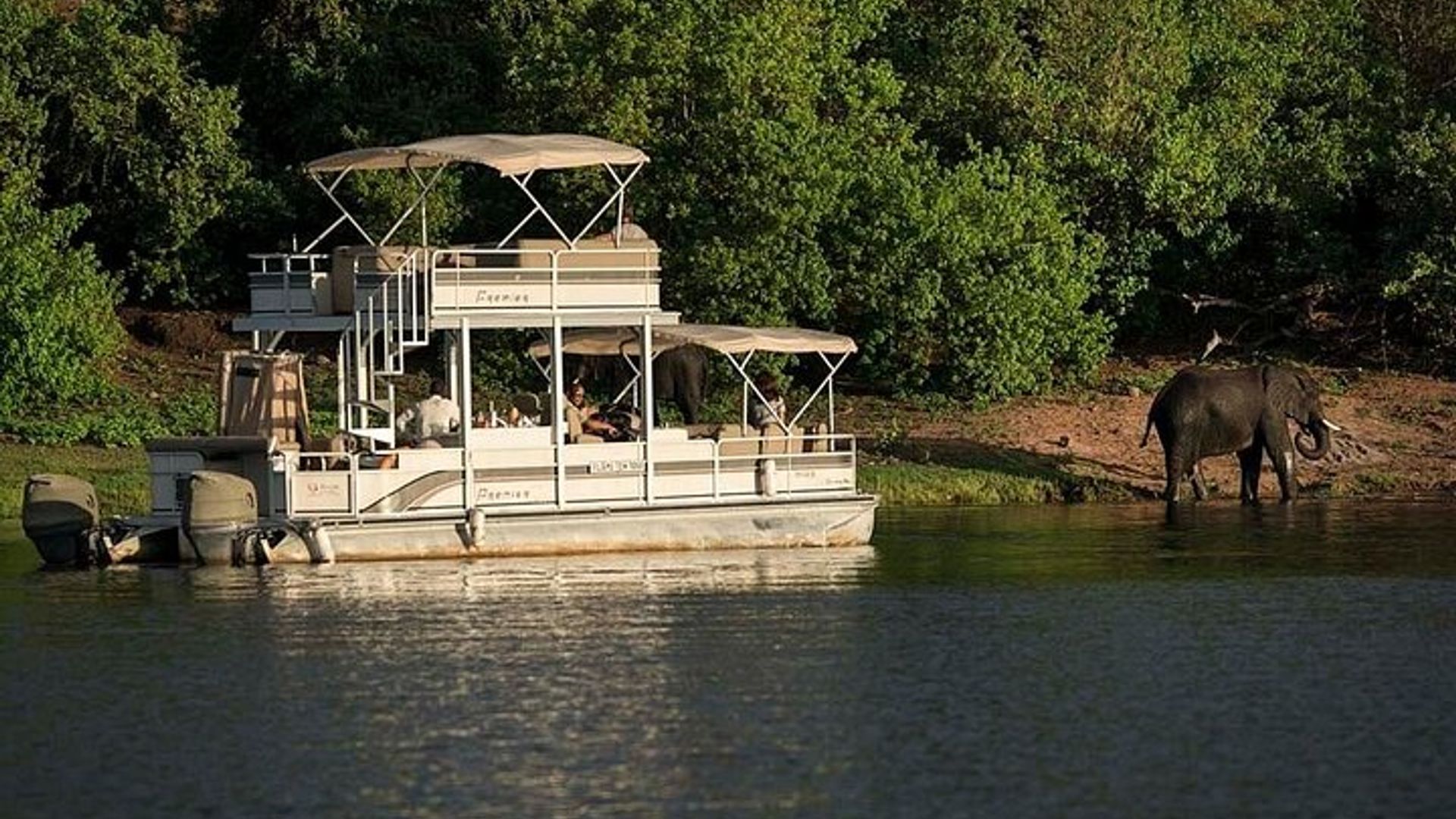 Chobe Day Trip From Victoria Falls Zimbabwe