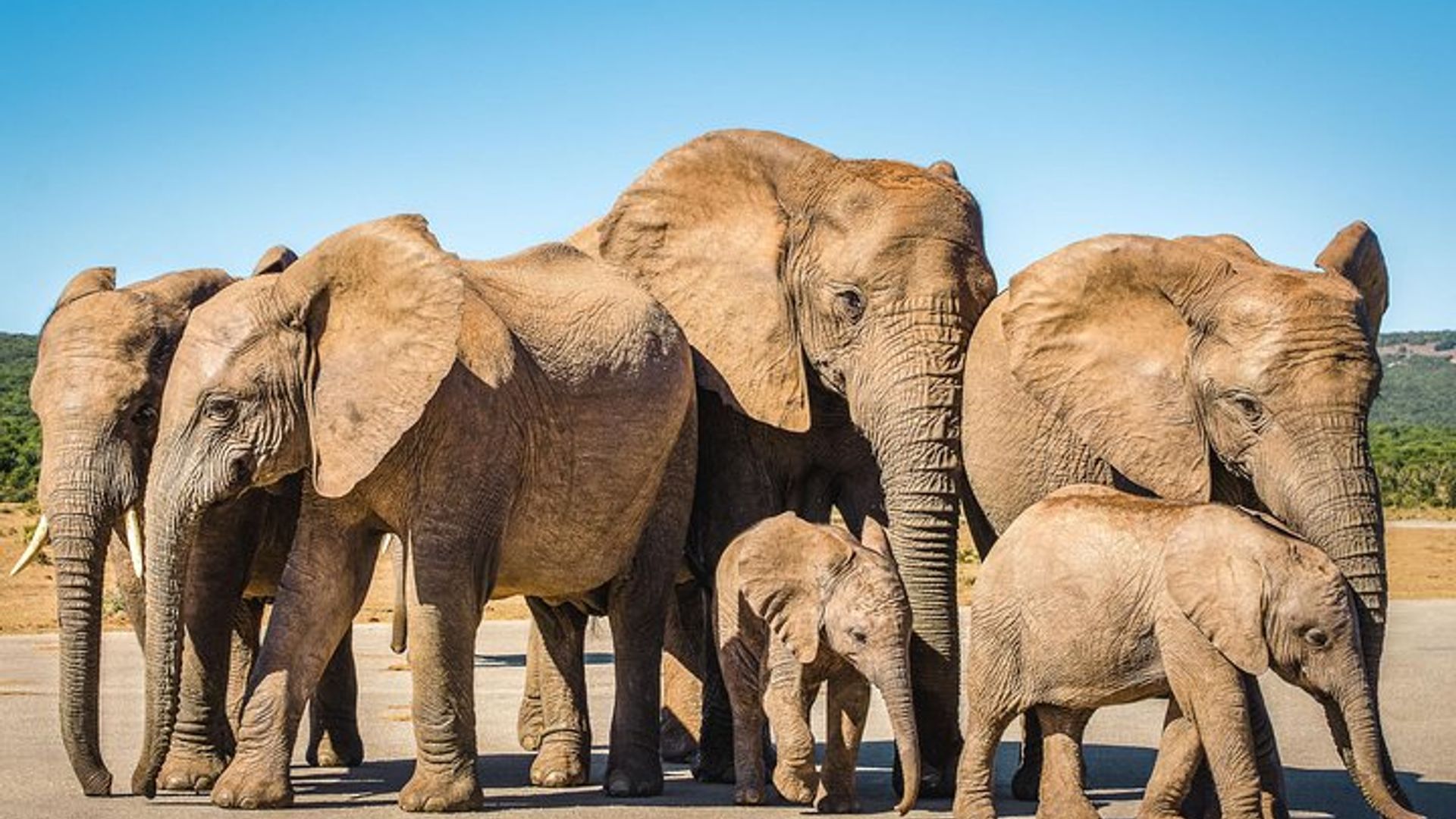 Cape Town 3-Day Garden Route Private Tour with Car and Driver
