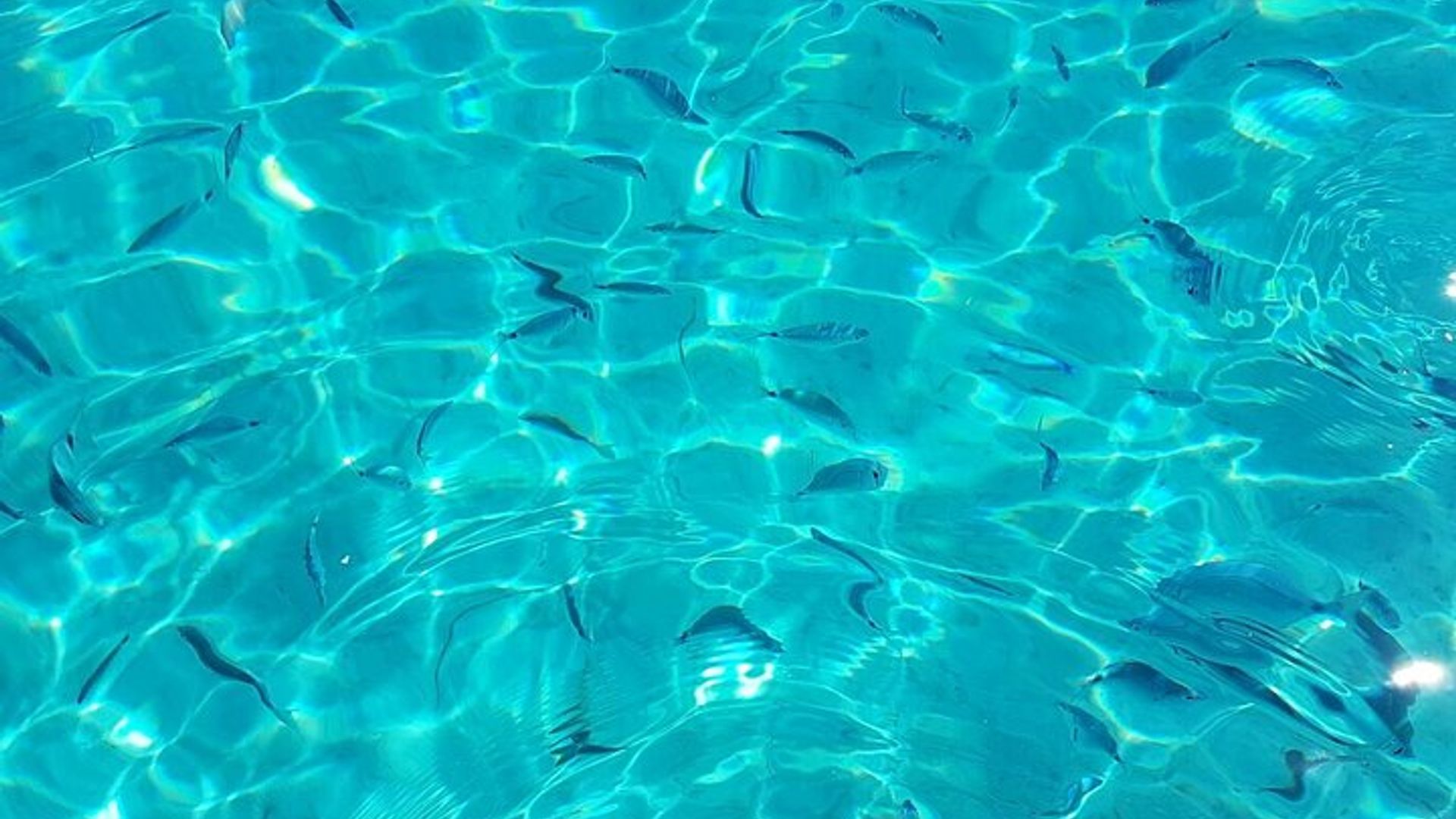 Magdalene Archipelago Tour from Cannigione - Comfort 2 Catamaran