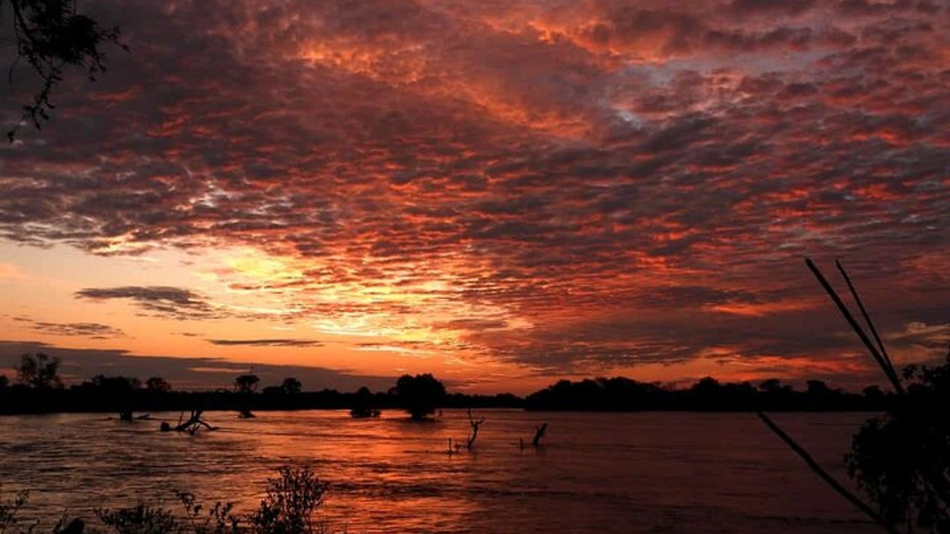 Zambezi Sunset Cruise in Victoria Falls