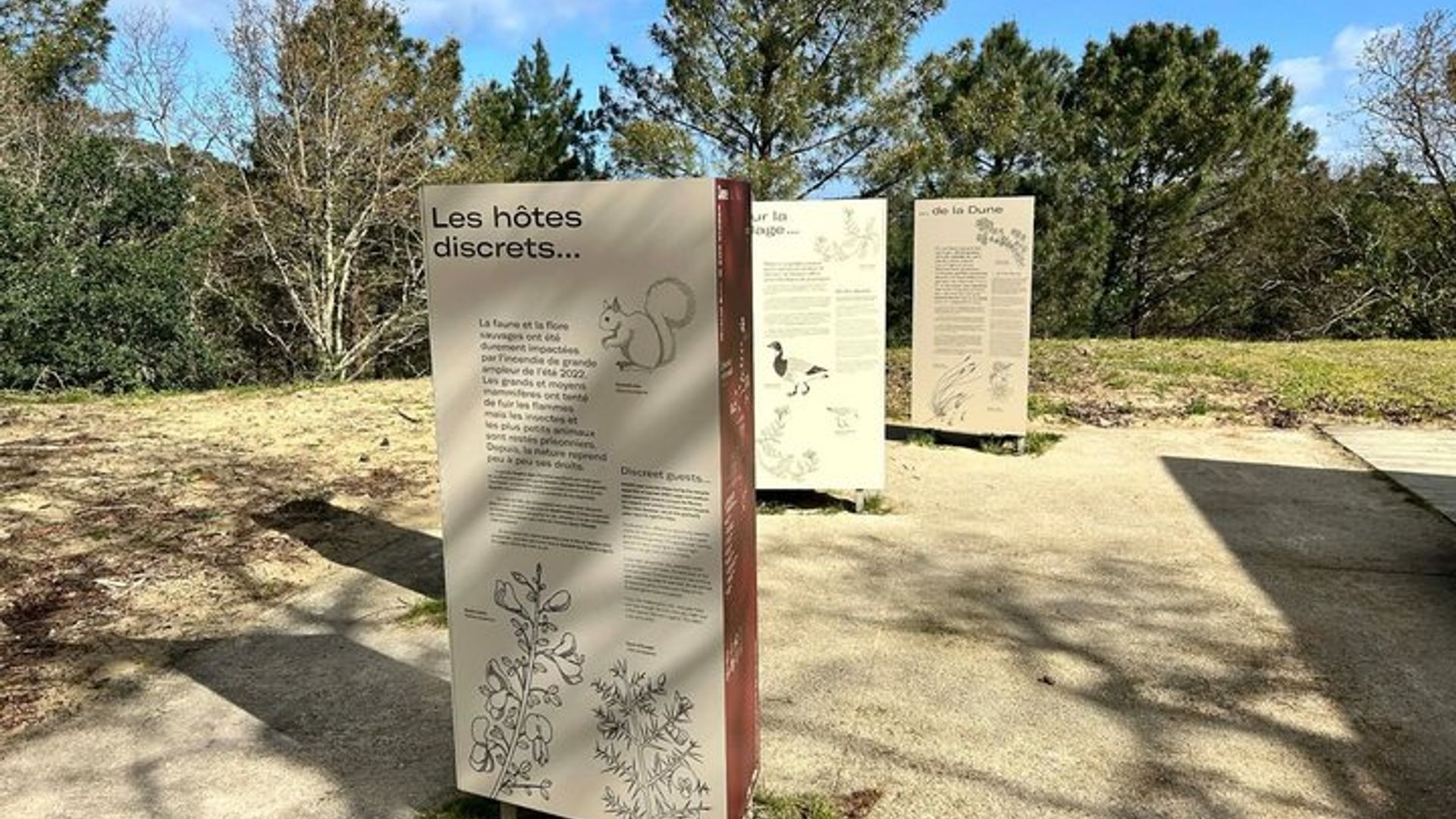 Besuchen Sie die Dune du Pilat auf unterhaltsame und erlebnisreiche Weise