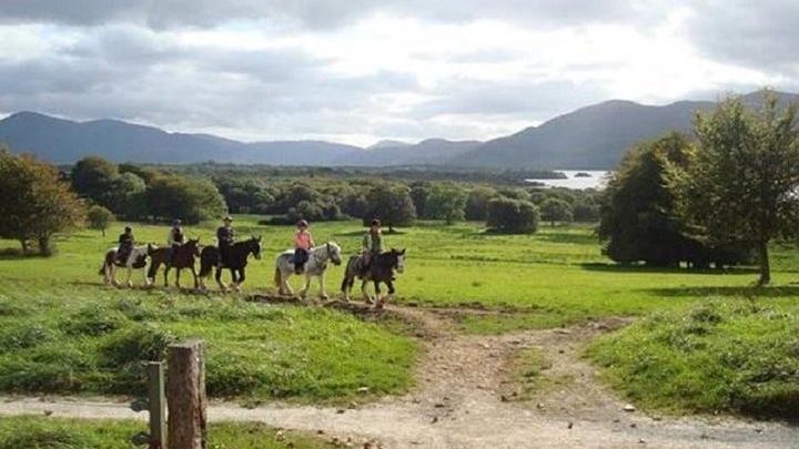 Small-Group Killarney National Park Horseback Ride