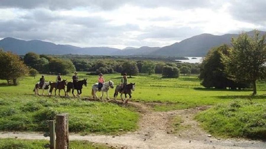 Small-Group Killarney National Park Horseback Ride