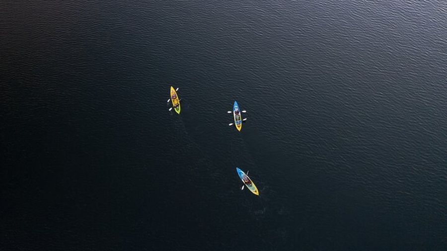 Glow Worm Caves Night Kayaking Tour from Rotorua