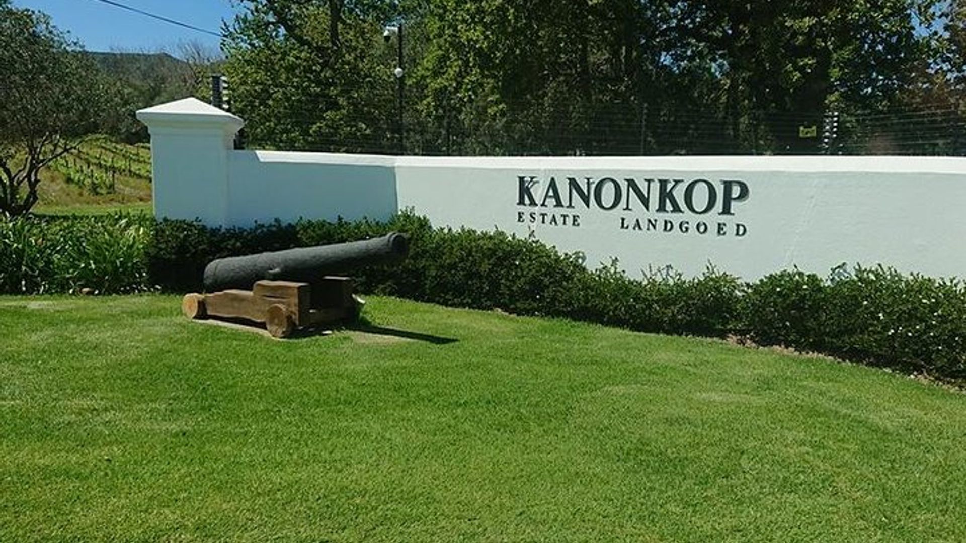 Tour de vinos privado dirigido por expertos de Stellenbosch / Franschhoek