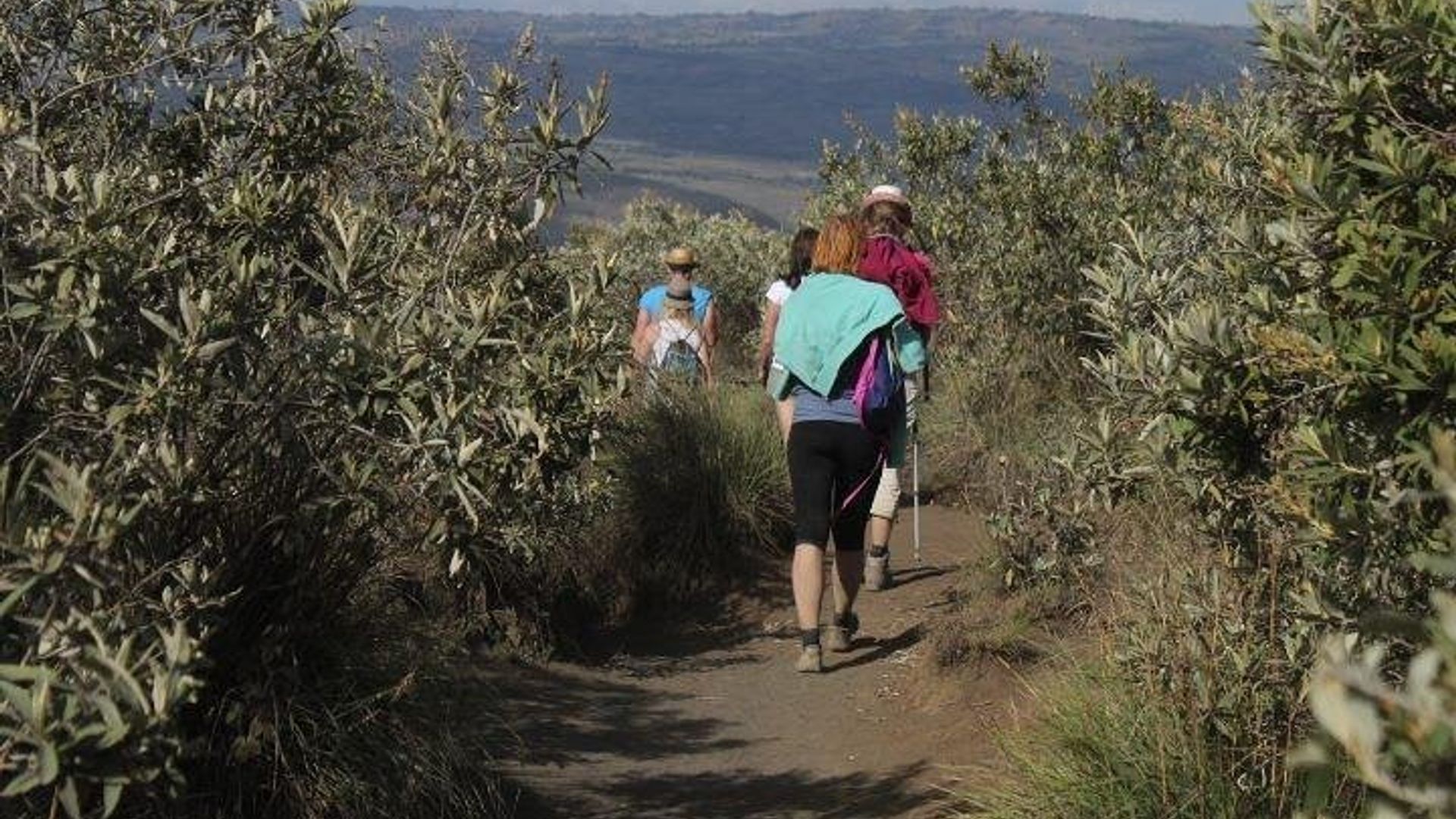 1 Day Hike to Mount Longonot