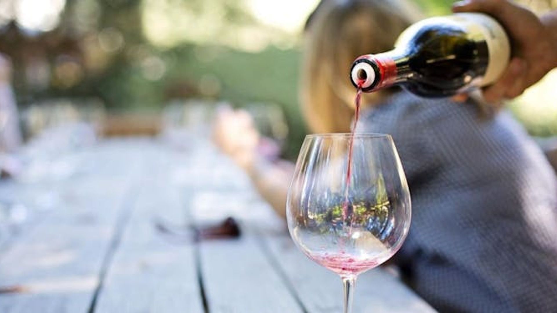 E-Bike Cape Winelands Half Day Tour from Cape Town