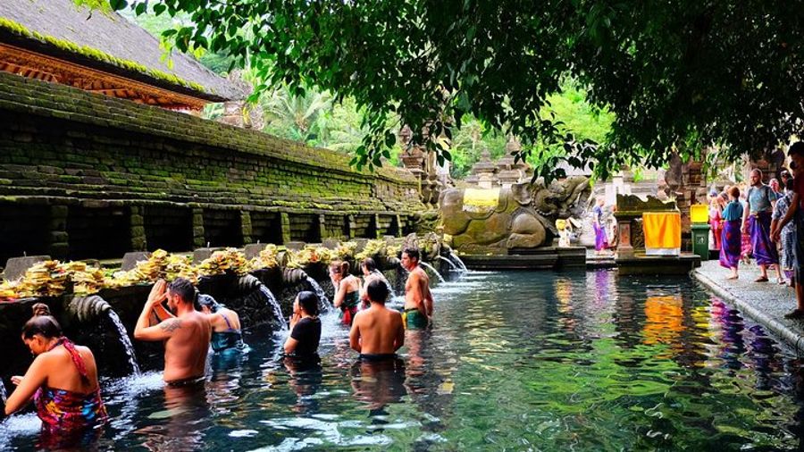 Half-Day Ubud Electric Cycling Tour to Tirta Empul Water Temple