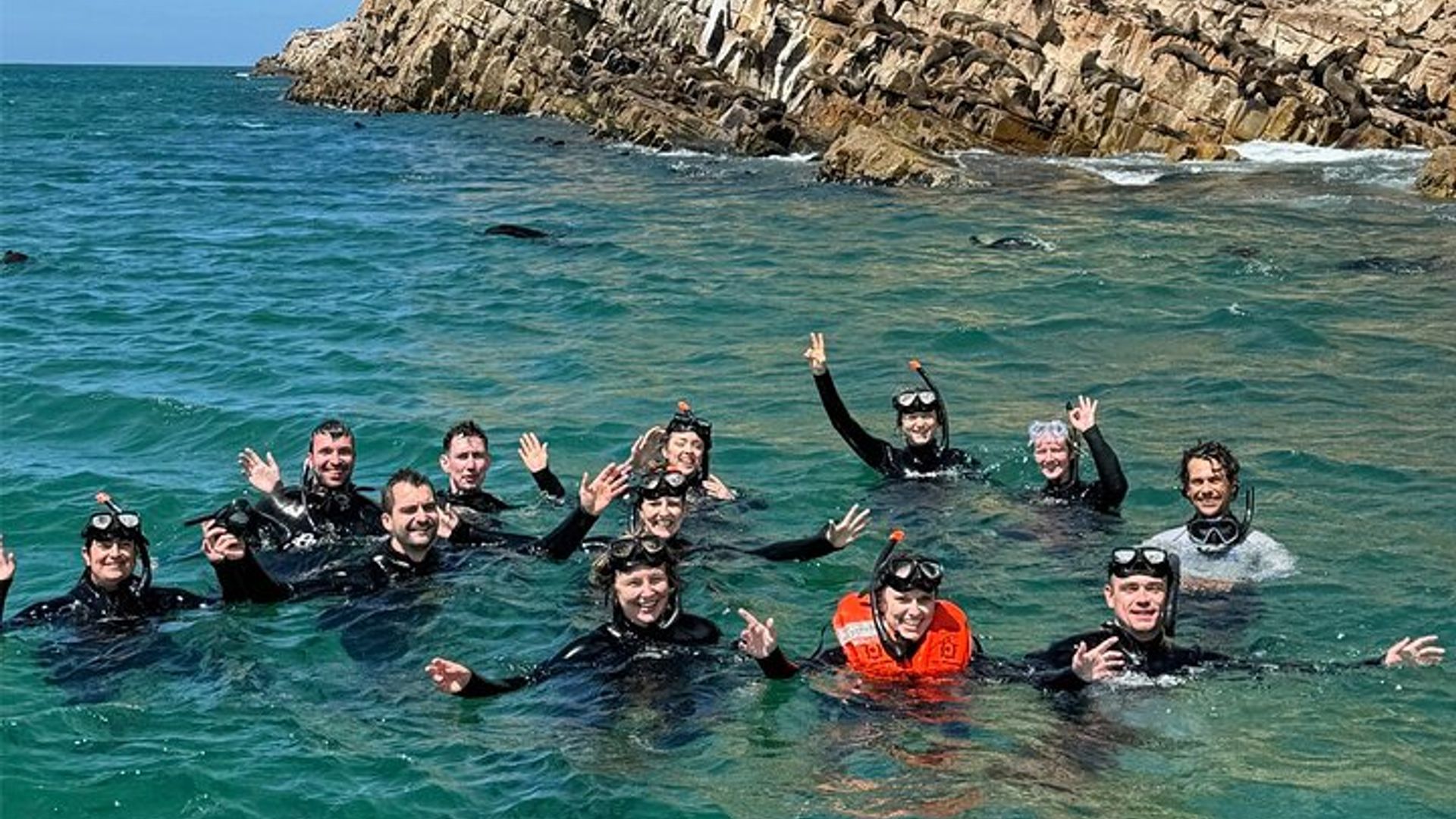 Swim with the Seals in Plettenberg Bay