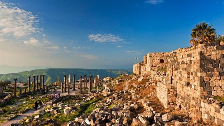 Amman Private Jerash, Ajloun, Umm Qais Tour