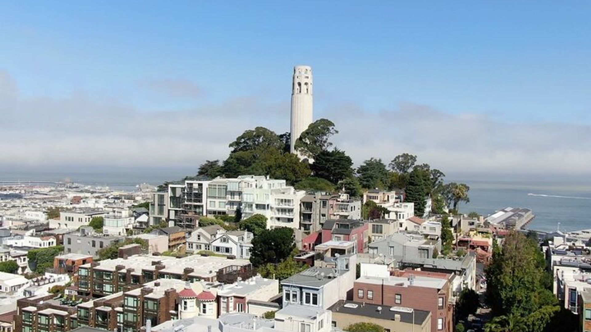 Coit Tower Hike with Secret San Francisco Views image 2
