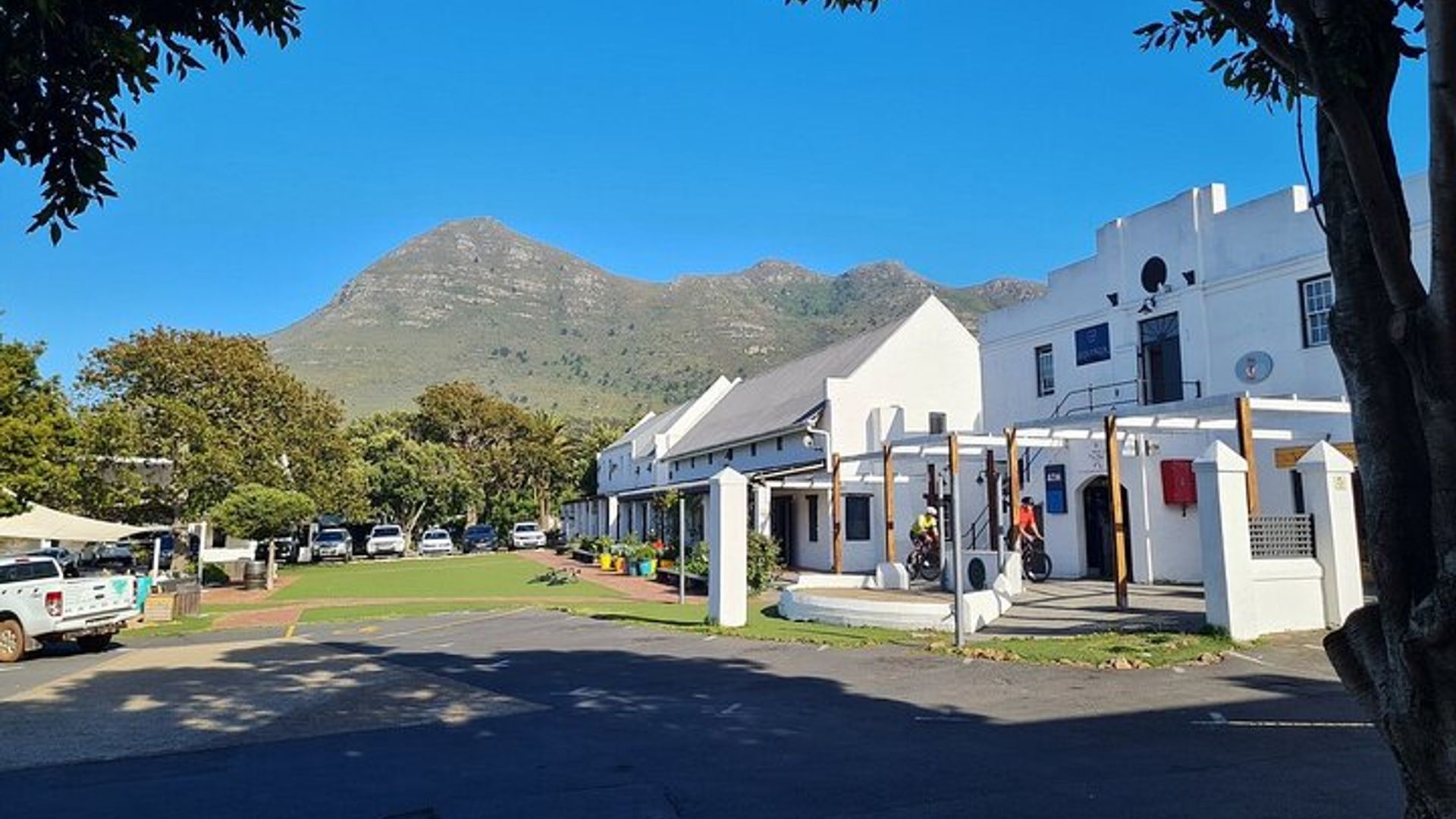 5 - Tagestour Kapstadt-Tafel Berg-RobbenInsel-Safari-Halbinsel