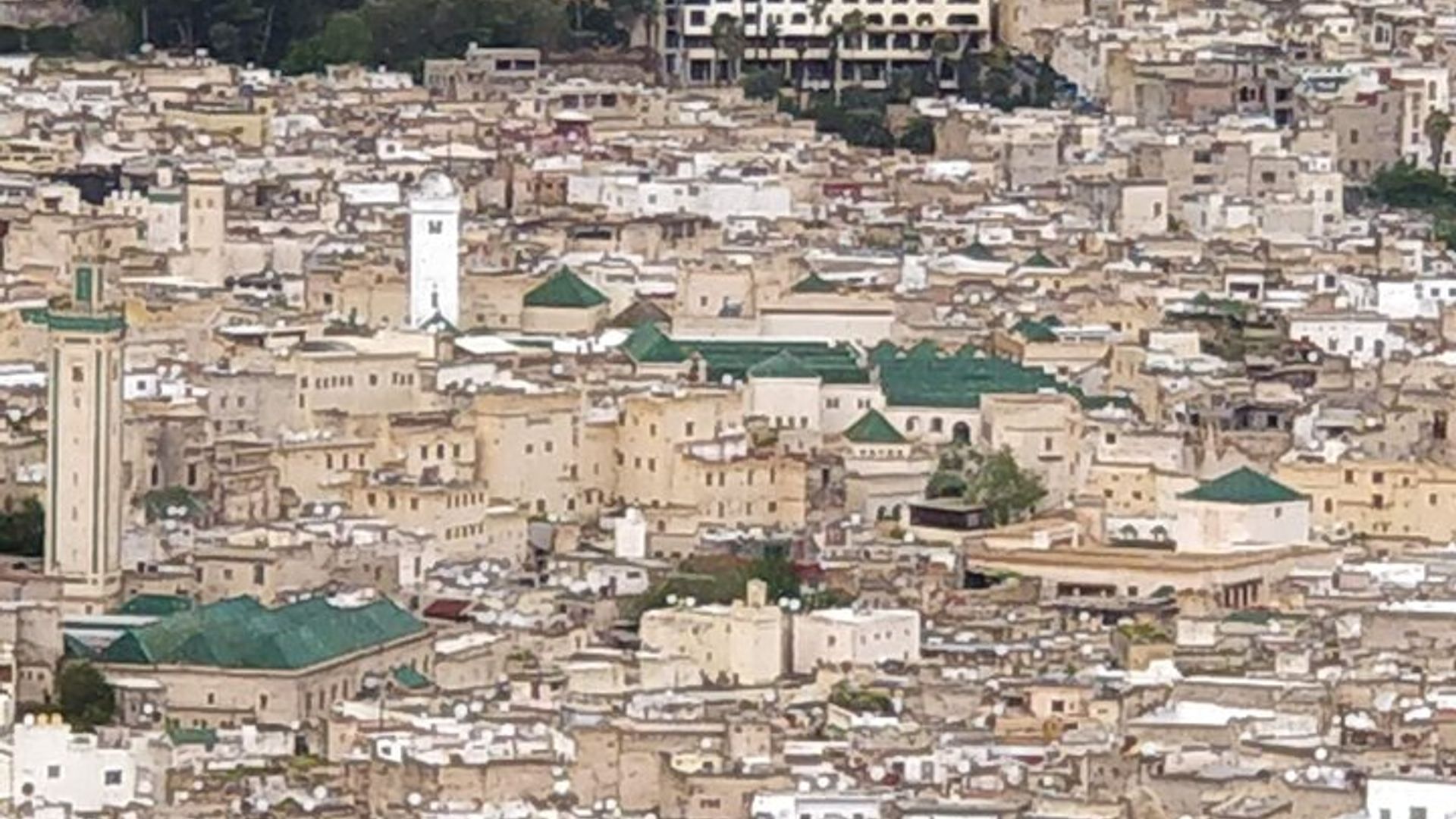Visite guidée de Fès avec un guide local