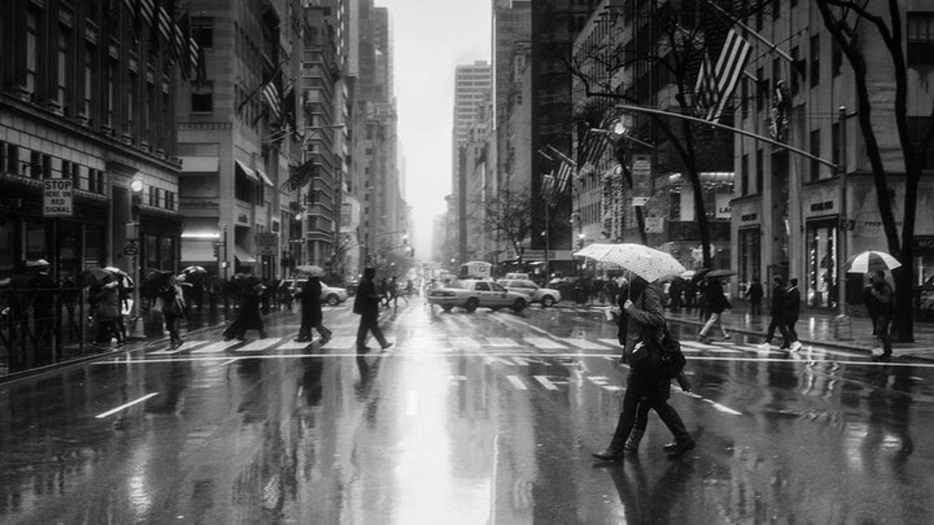 Iconic New York City Photography Tour image 3