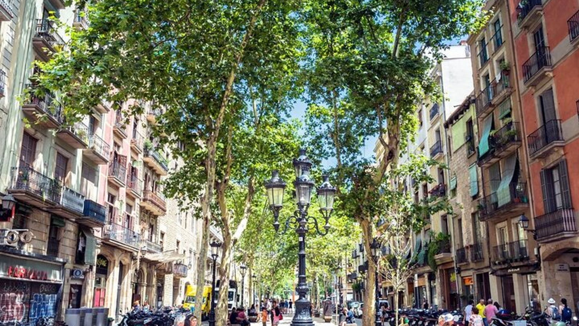 Barcelona Boqueria Market and Barrio Gotico Street Food Tour