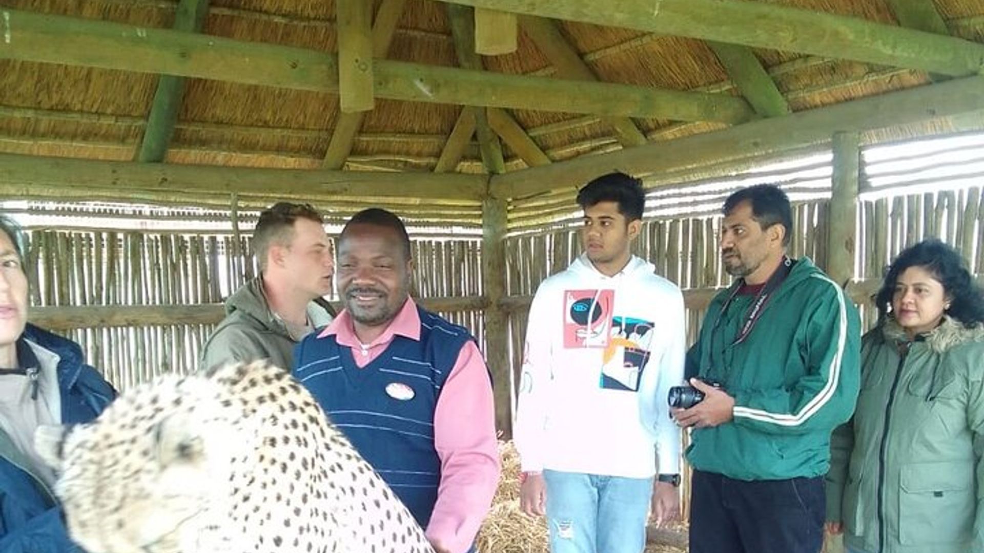 Cheetah Outreach, Gordon’s Bay, and Strand Beach Tour