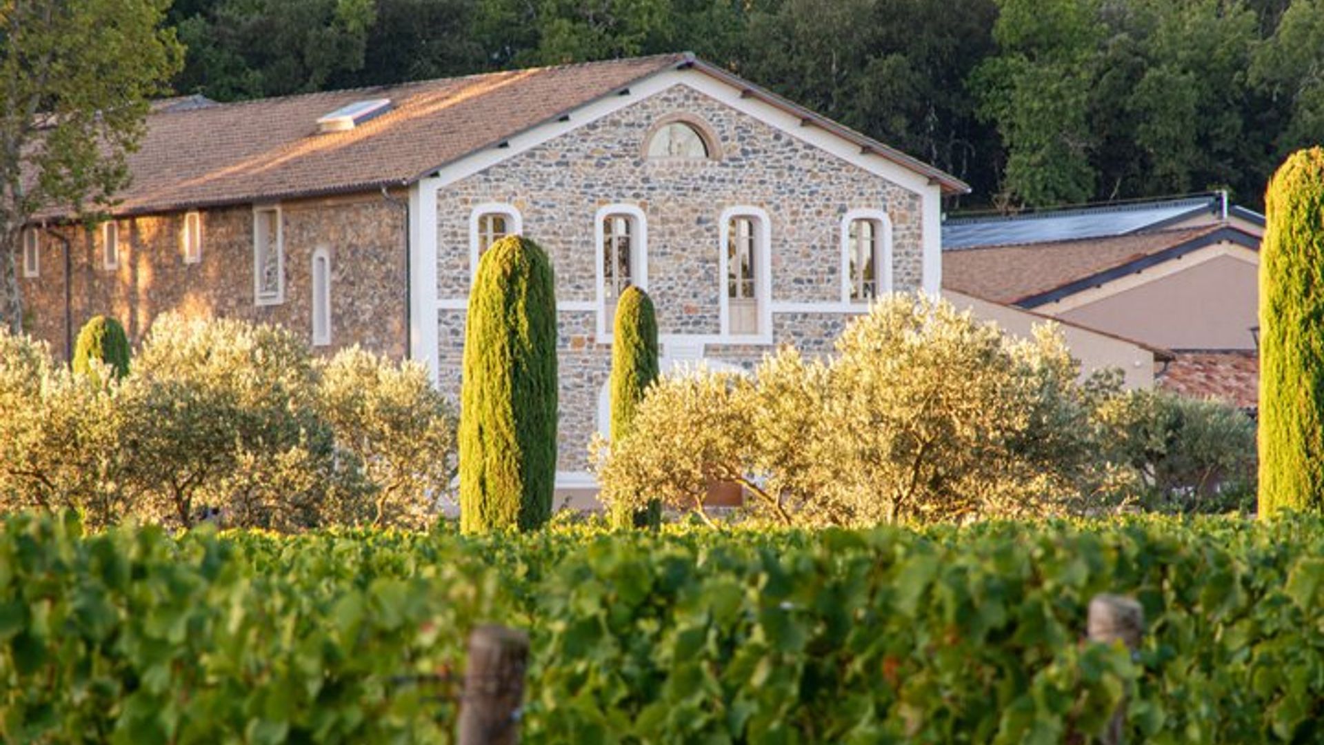 Besuch in einem der modernsten Weinkeller der Provence