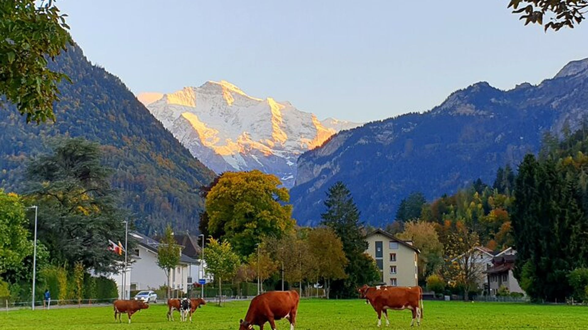 Interlaken sightseeing: Lauterbrunnen, Brienz, Interlaken