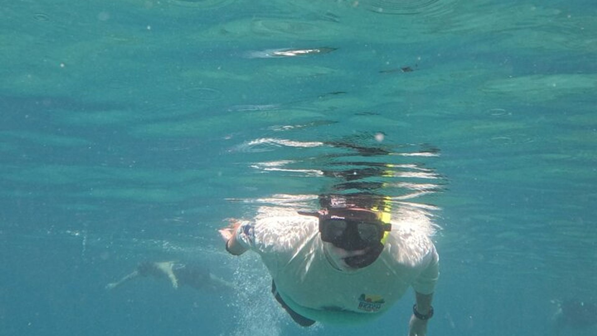 Crab Island Anpassbare Private Kapitänsboot Charter