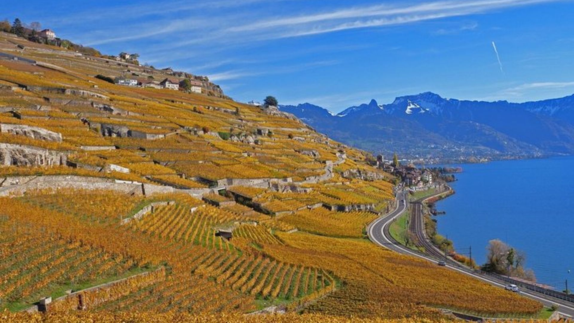 Lavaux UNESCO Vignobles et Dégustation Van privé depuis Montreux