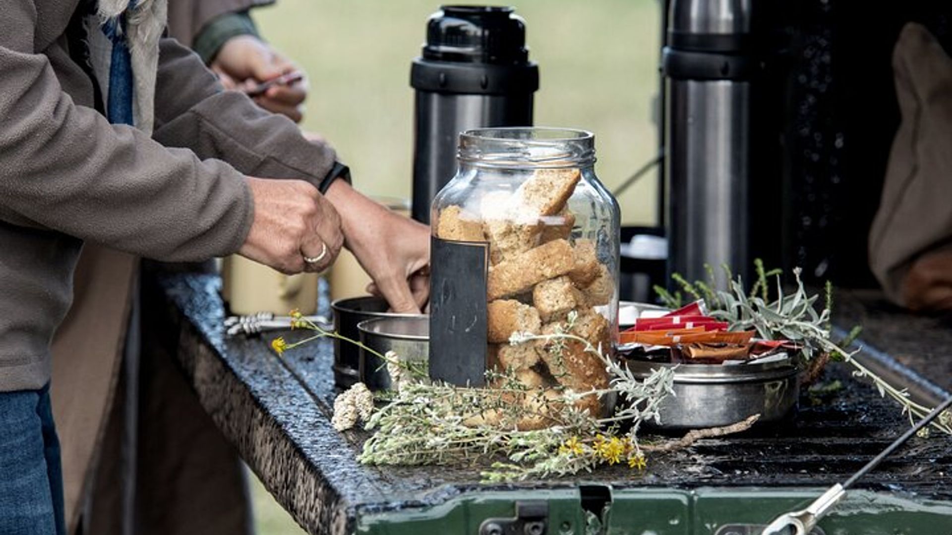 2 Nights Gondwana Safari Tour from Cape Town